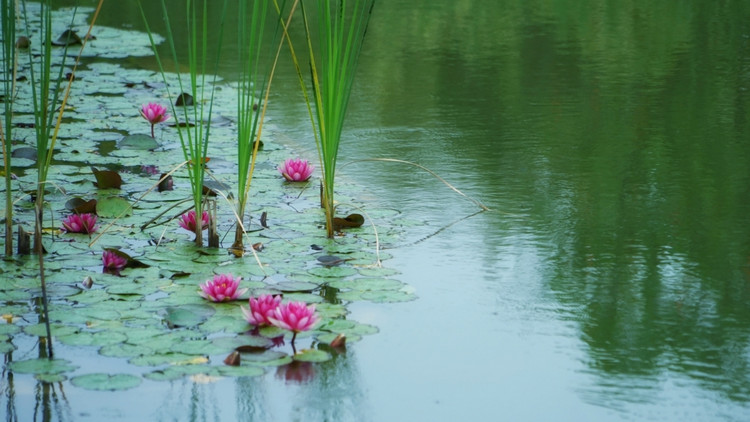 茅山宝盛园周边游玩,茅山宝盛园所有游乐设施