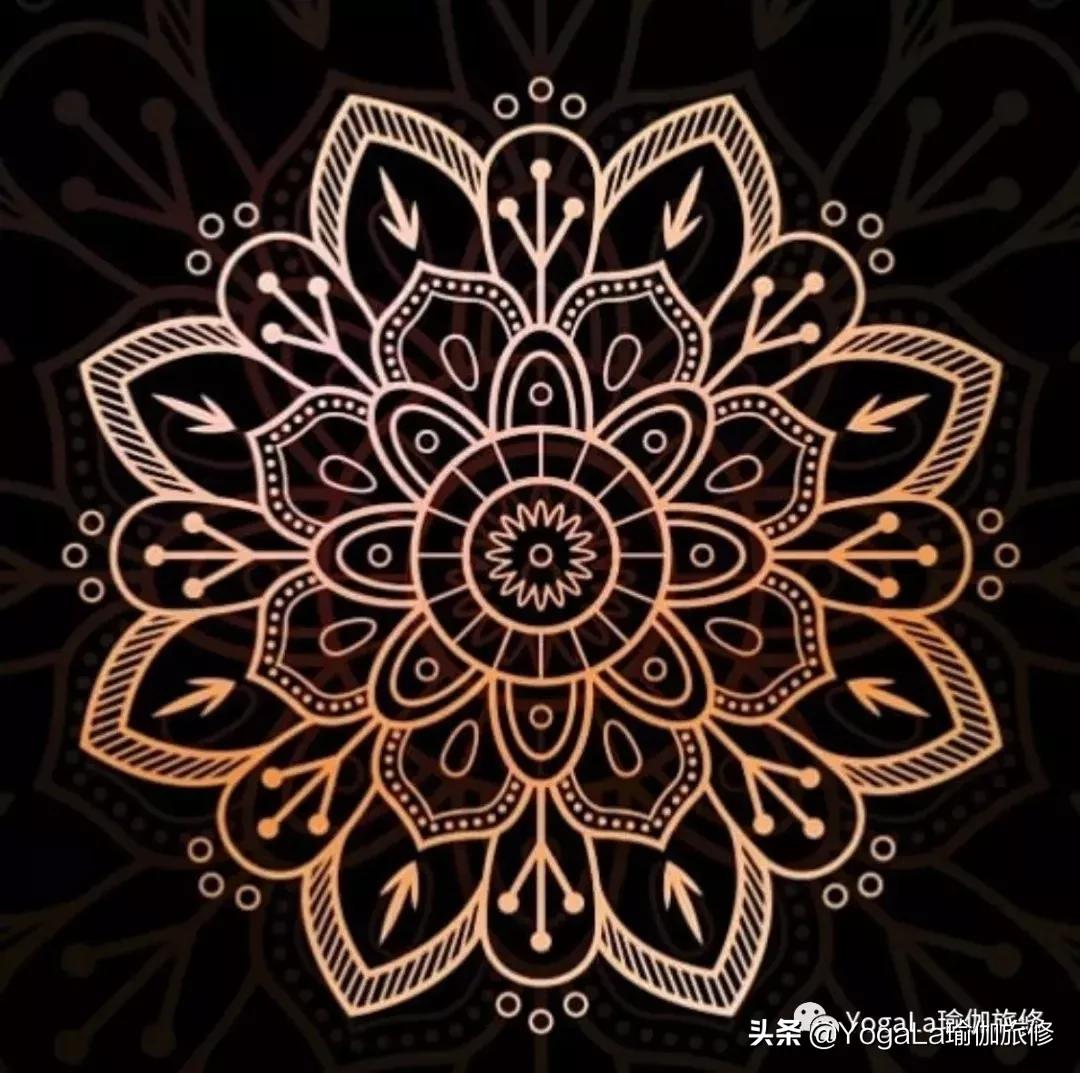 YogaLa2019印度南部阿育啡陀认证课程+排毒解压之旅