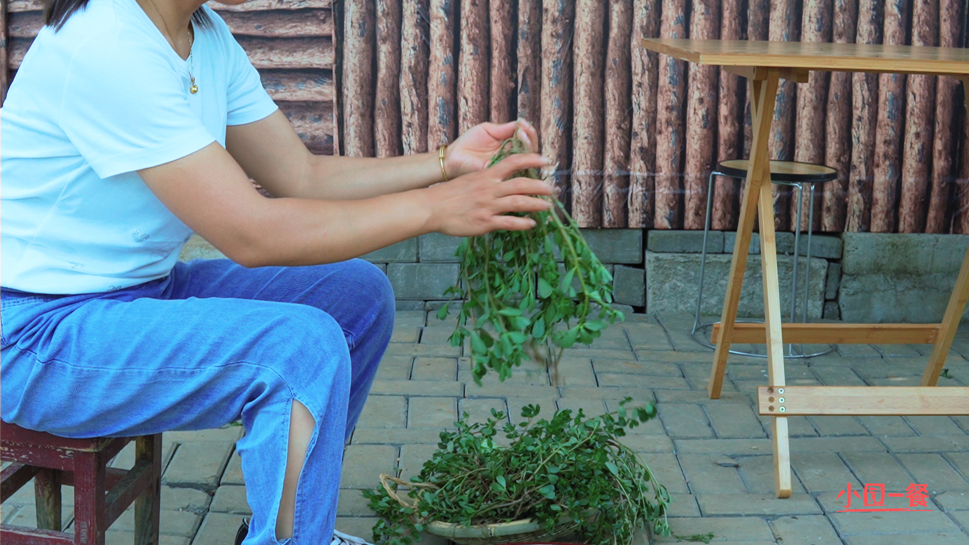 马齿菜饼最简单的做法,马齿苋菜锅饼的制作方法