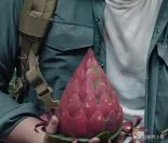 国产狂蟒之灾一口气看完,国产狂蟒之灾好看不