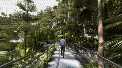 耗资85亿，把瀑布、热带雨林搬进机场！樟宜机场终于要开放了