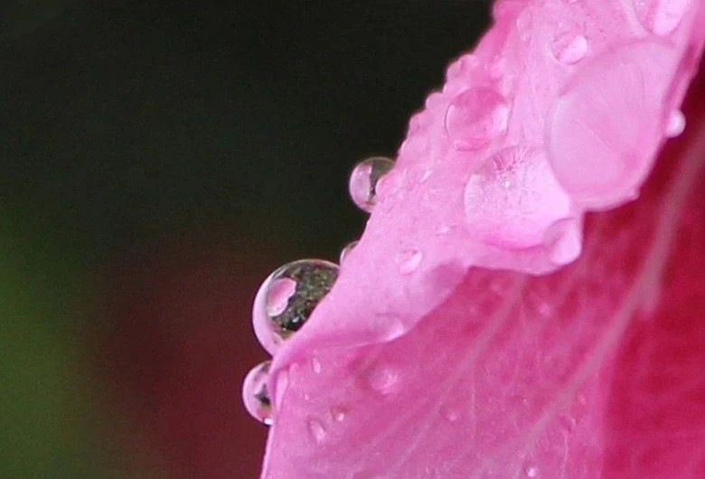 水样心情,水样情怀