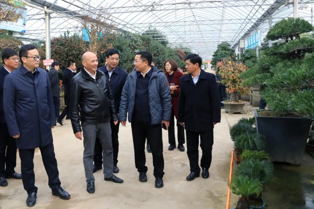 宿迁市沭阳县沭阳国际花木城,沭阳国际花木城布局