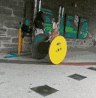 双十一退货被拒赔,都怪羊毛*党**