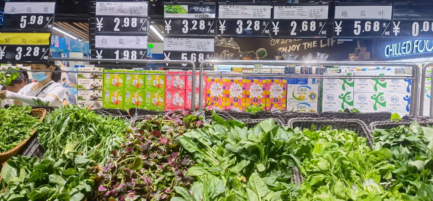 80后大学生的上海租房戏剧人生,搬家搬到崩溃,定居的喜悦与忧伤