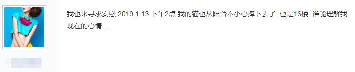 猫怎么做到高处摔不死,真相猫