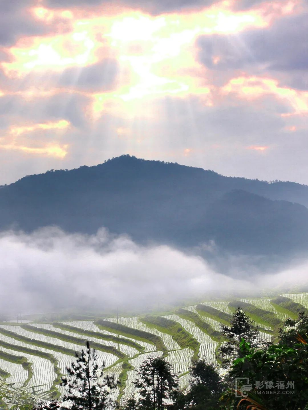 白云区永泰,什么是永泰葱饼