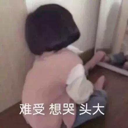 养仓第1步：如何挑选一只健康的仓鼠