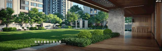 我终于等到了熟悉的中粮