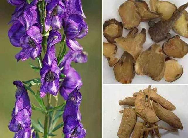 鸿茅药酒被央视谁曝光,内蒙鸿茅药酒事件怎么样了