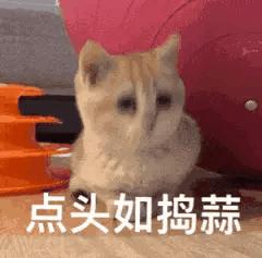 挖宝好物推荐包包,挖宝高颜值好物