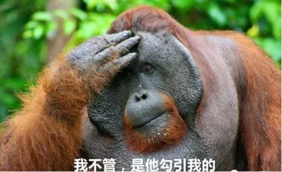 关于*人用成品**无人售货机看完这篇就够了！！！