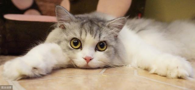 卡西欧计算器手机版app特色,手机卡西欧计算器