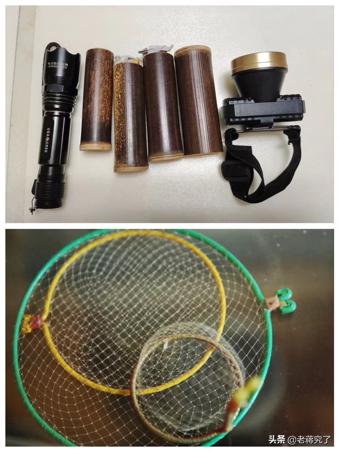 蟋蟀的捕捉讲解,老蒋讲虫子视频大全