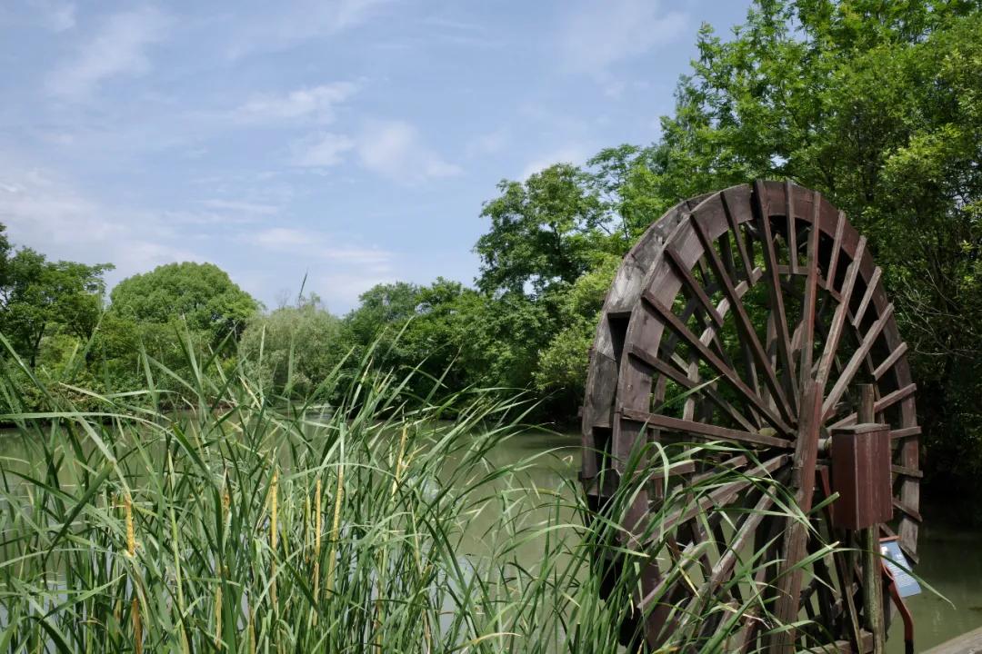 西溪湿地国家公园最近有什么节目,杭州西溪湿地附近大火