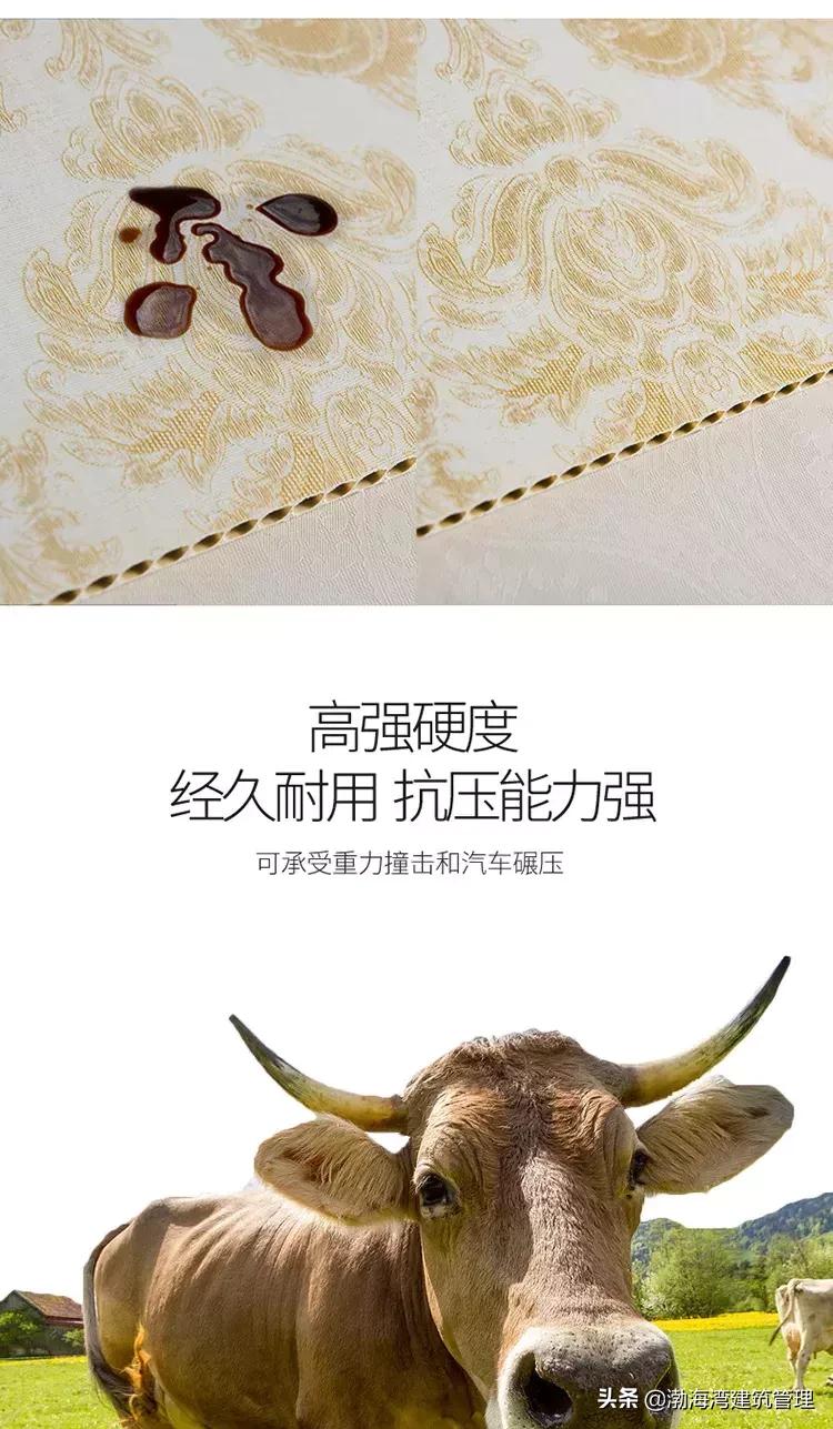 只想让你过得更好,慢慢让生活过得更好点