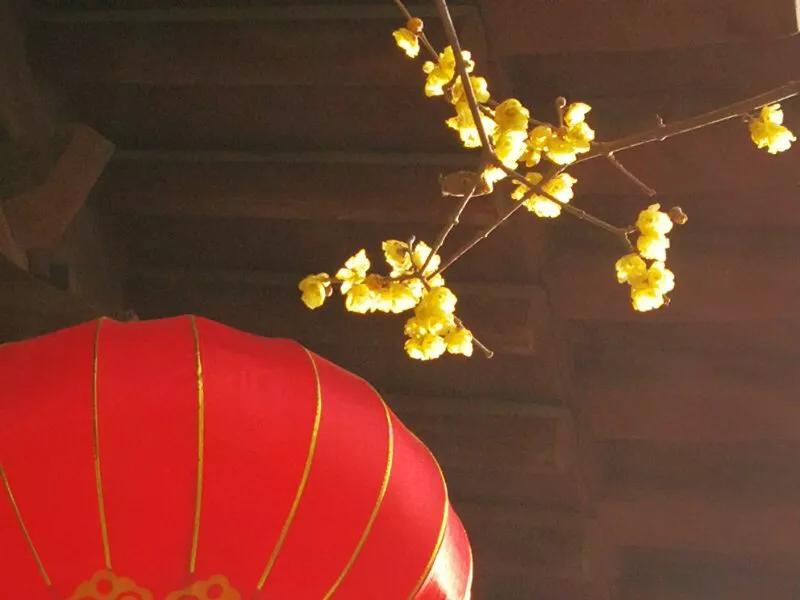 手拍世界摄影网,手拍世界微信公众号