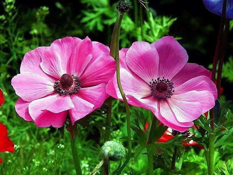 尊重别人就是尊重自己漫画,尊重别人就是尊重自己是什么意思