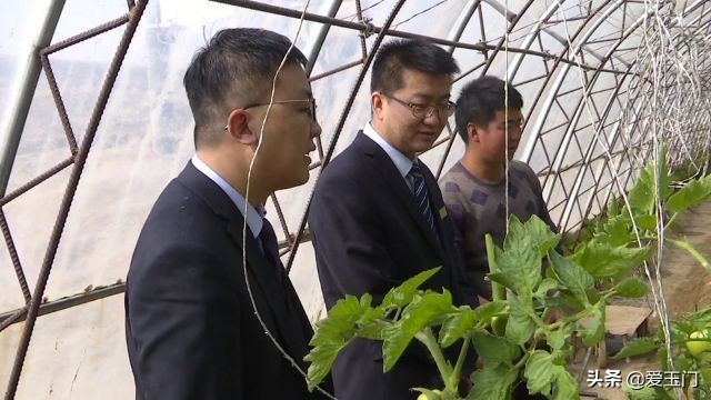 兴业联社播撒及时雨助力春耕备耕,酒泉农商银行春耕助力贷