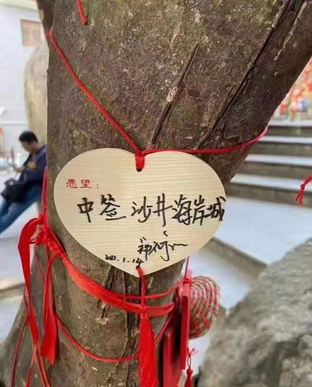 打新真的是刚需的机会吗,打中一只新股能赚多少钱