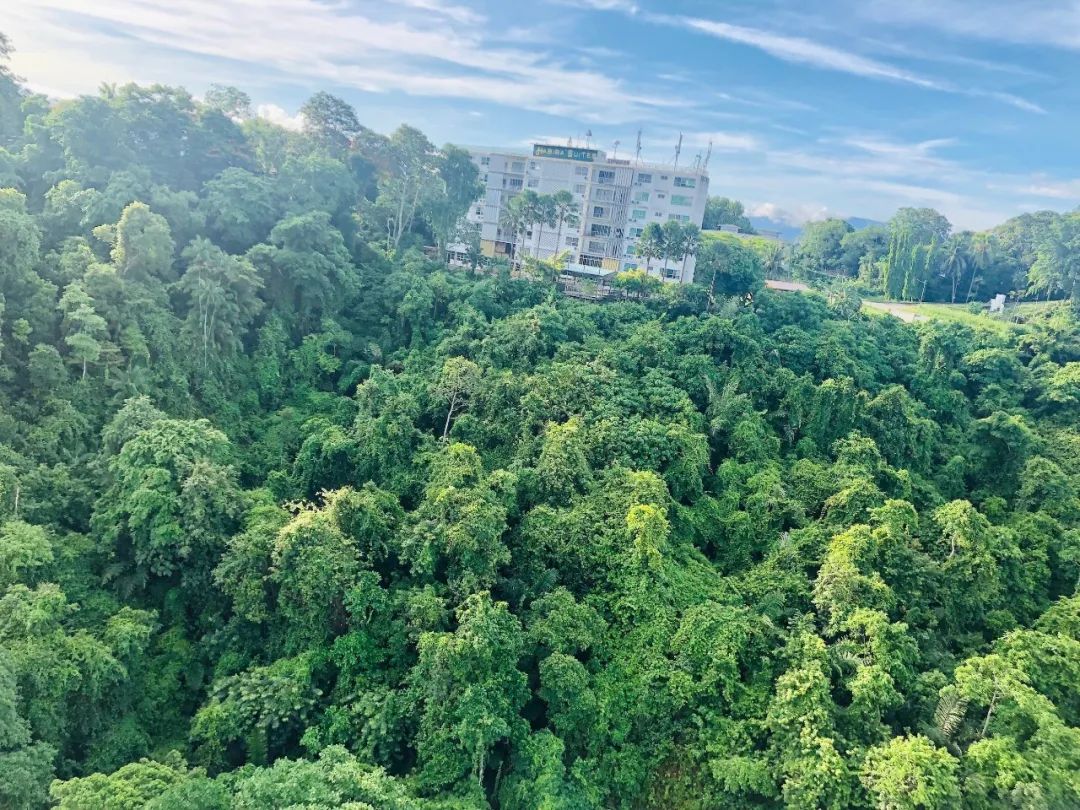 出不了门的心情,出不了门的日子让人心绪难平