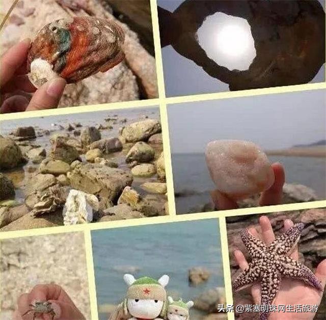 大连哈仙岛仙客来酒店,哈仙岛海鲲度假村