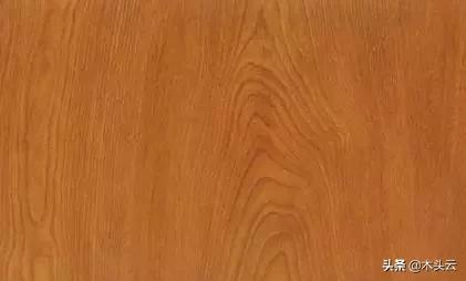 十种家具用木头,常用做家具的木材