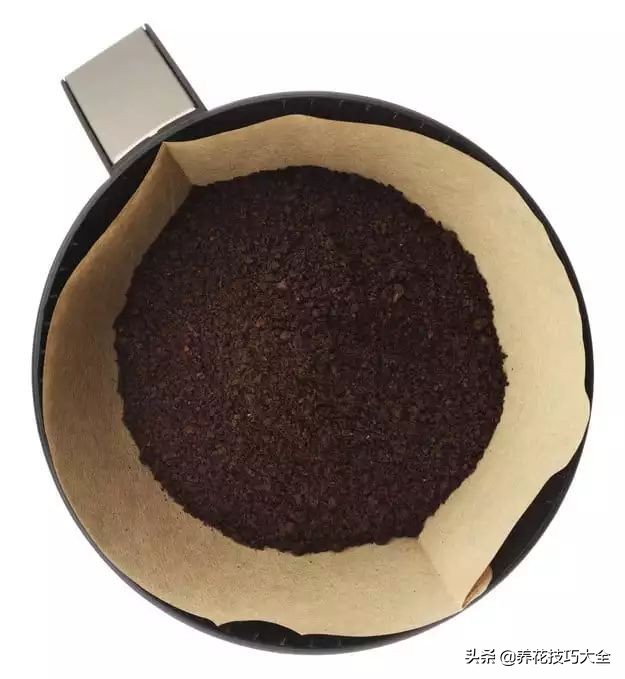 养花必备四种调料,养花最好的4种料