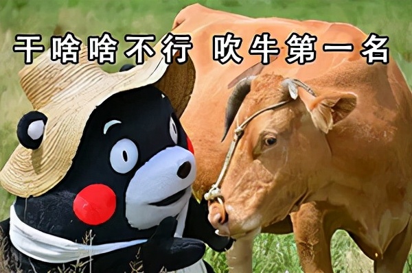 韩国《鱿鱼游戏》爆火的椪糖，在天津却早就有自己的传说