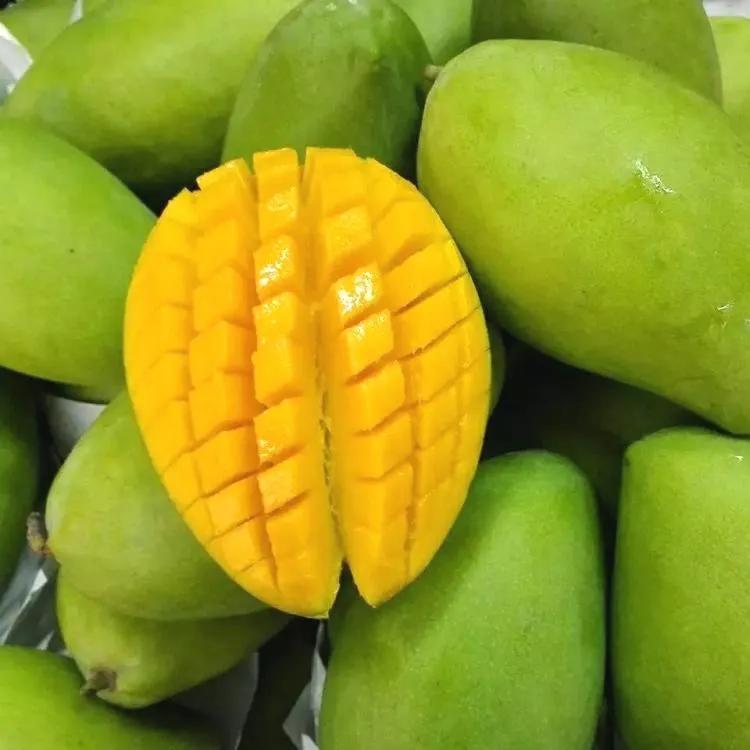 山竹的英语单词,山竹和芒果的英语