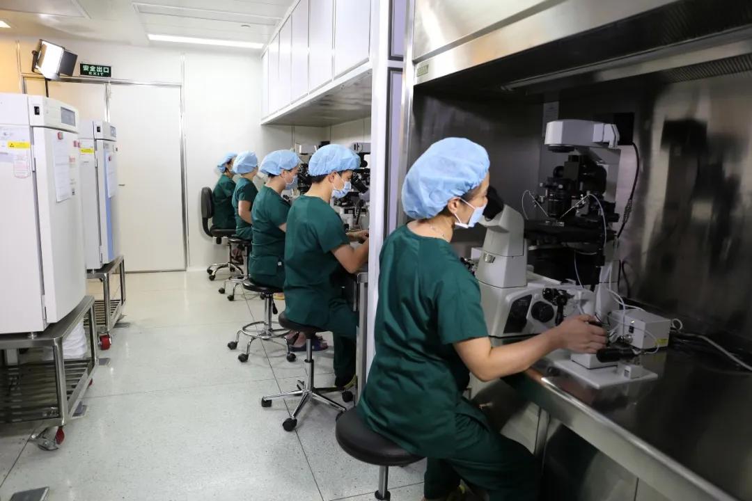 雄风再起全部视频,雄风再起完整版原唱