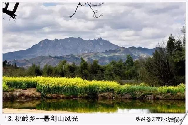 你好我叫王思聪微博截图,你好我叫阿杰