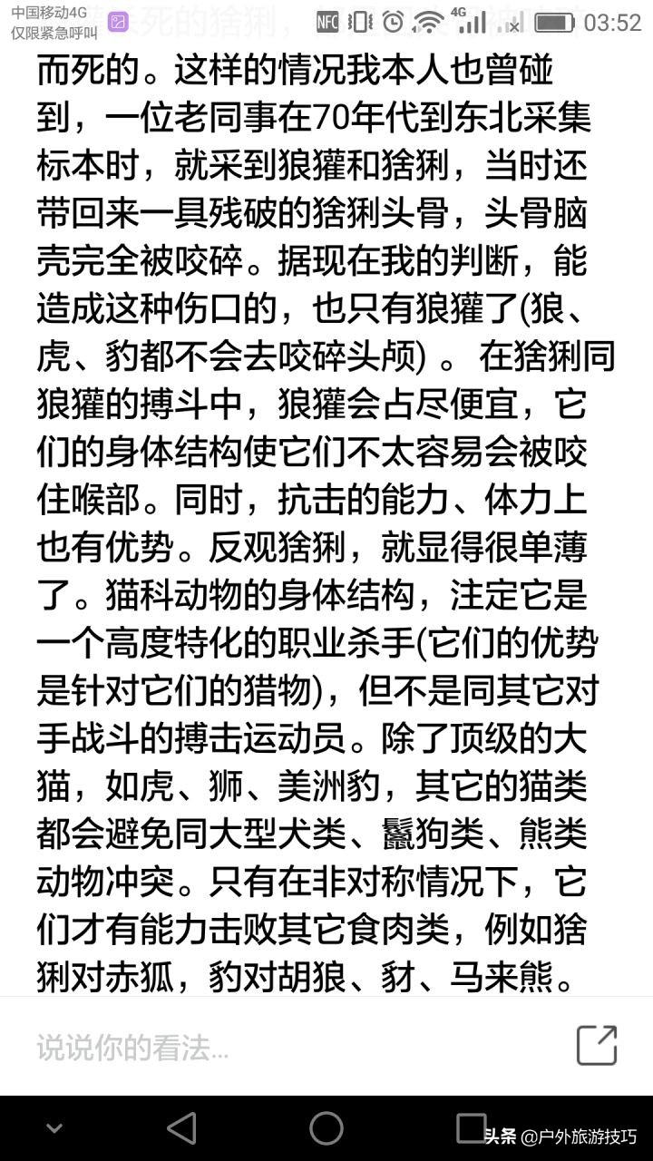 平头哥蜜獾目前存活数量,平头哥蜜獾能养吗