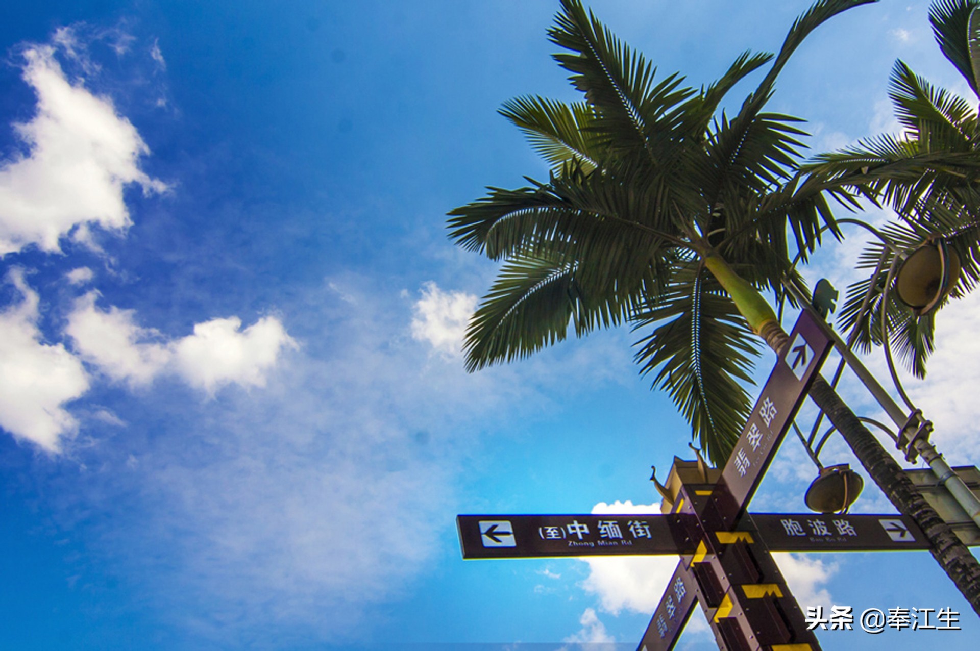 绿色通道出国游,出国旅游和偷渡的区别