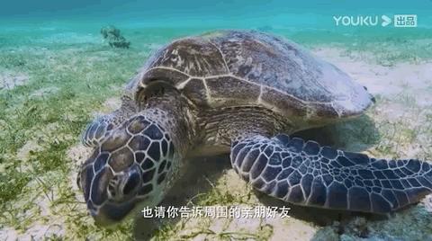 彭于晏我最需要的时候你在哪里,彭于晏我最需要他的时候他在哪里