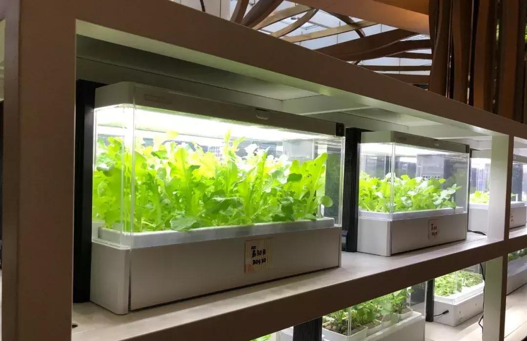 爱马仕儿童乐园,儿童游乐场爱马仕连锁