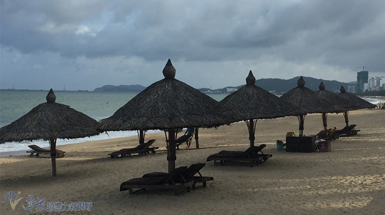 瓒婂崡鑺藉簞娴锋哗鏅尯瑙嗛,瓒婂崡鑺藉簞榛戝矝娴锋哗