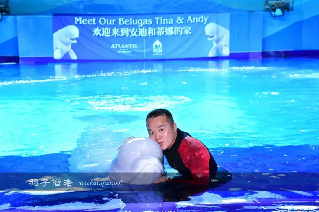 三亚亚特兰蒂斯水世界游玩路线,三亚亚特兰蒂斯水上乐园游玩项目