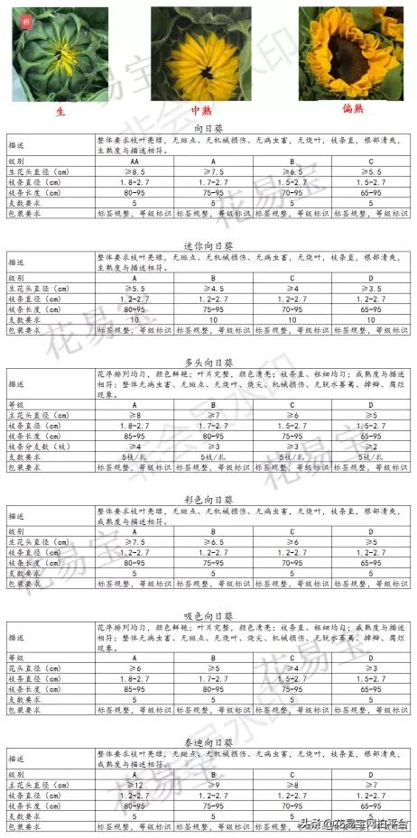 围观|教师节备货高峰的质检中心是什么样子的?