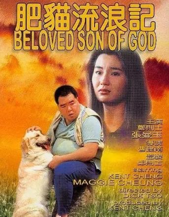 肥猫郑则仕病逝,肥猫郑则仕捐50万完整版