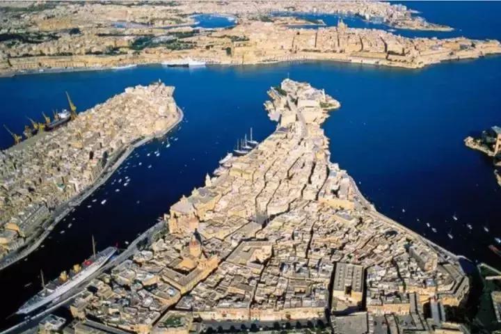 cips宠物展华元宠物用品有限公司,cips宠物展直播