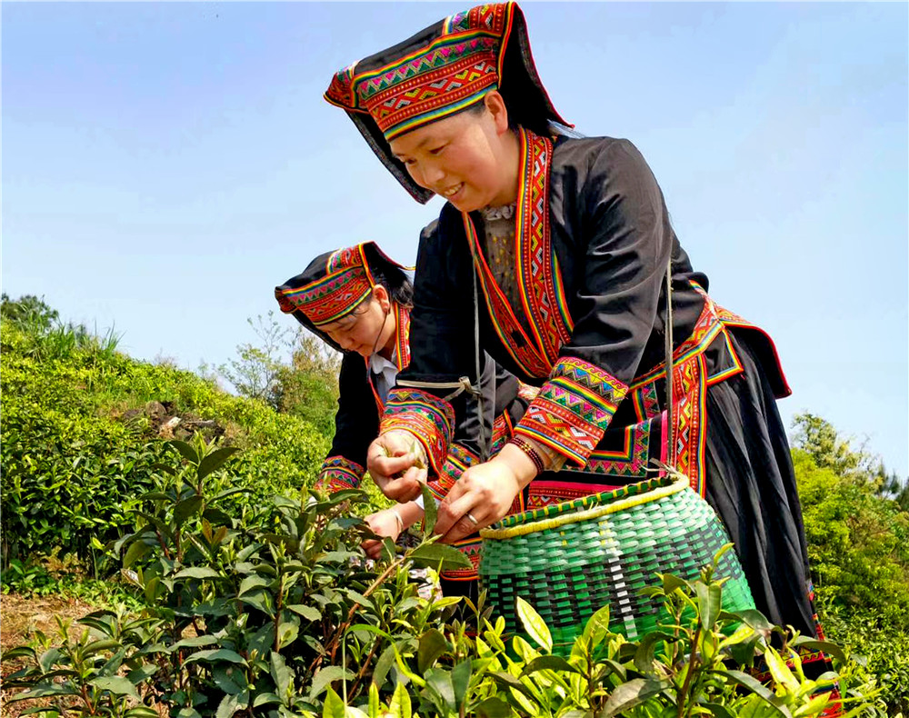 桂林藏在山洞里的油茶店,桂林开在半山腰的油茶店