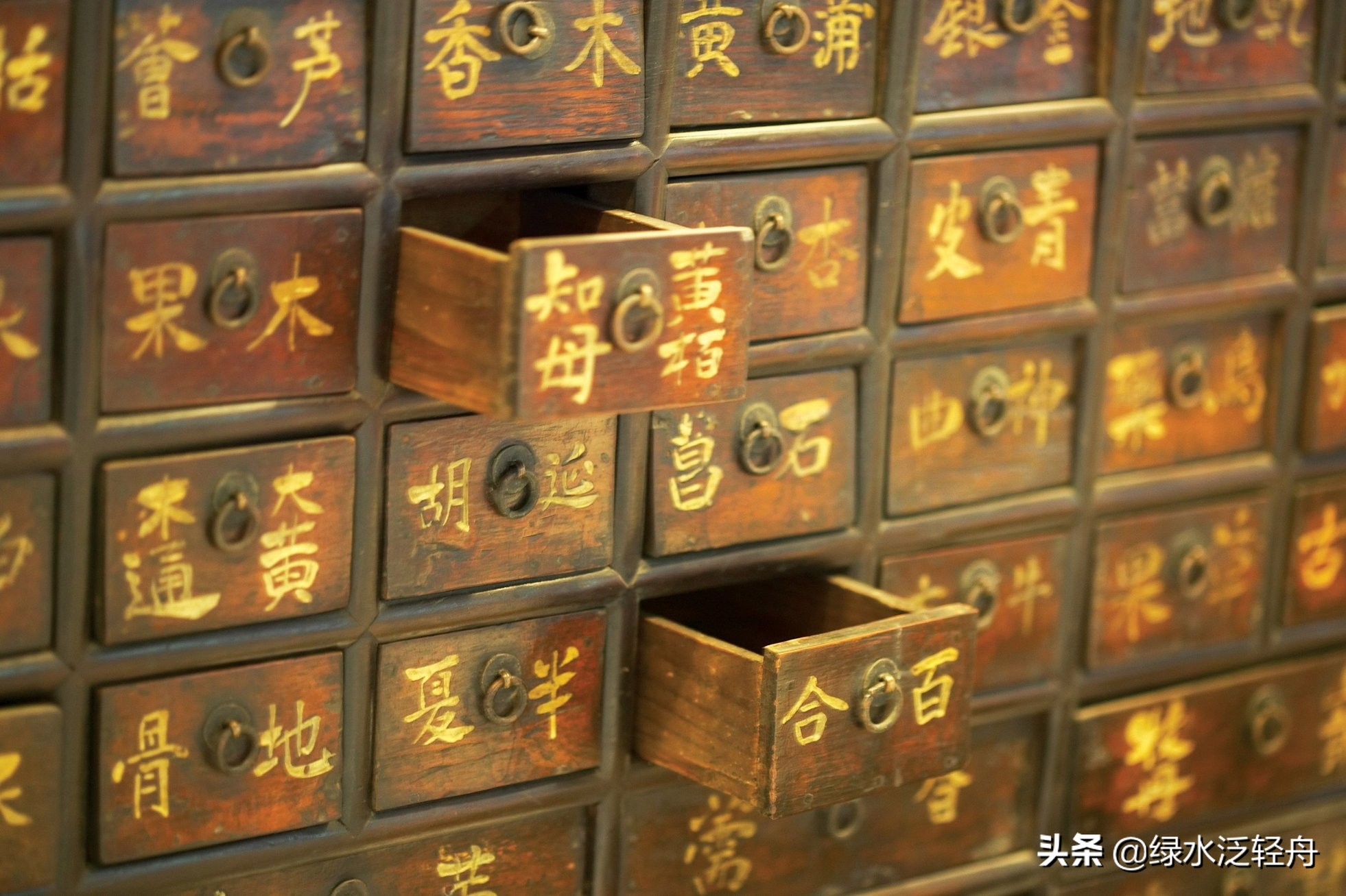 中医中药版生僻字,中药生僻字完整版