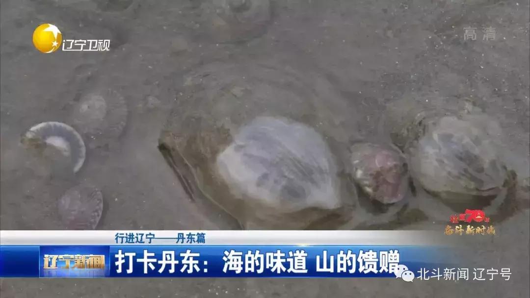 壮丽70年奋斗新时代现场,辽宁省丹东市宣传片大美丹东