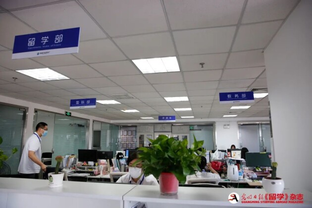 森淼茂溢教育价格,森淼茂溢教育