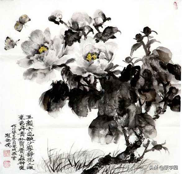 最知名的咏牡丹诗词有哪些,咏牡丹七绝最美