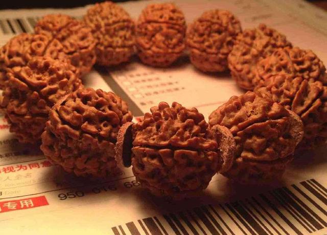 老玩家玩出来的小金刚菩提,老玩家都未必懂的新手攻略