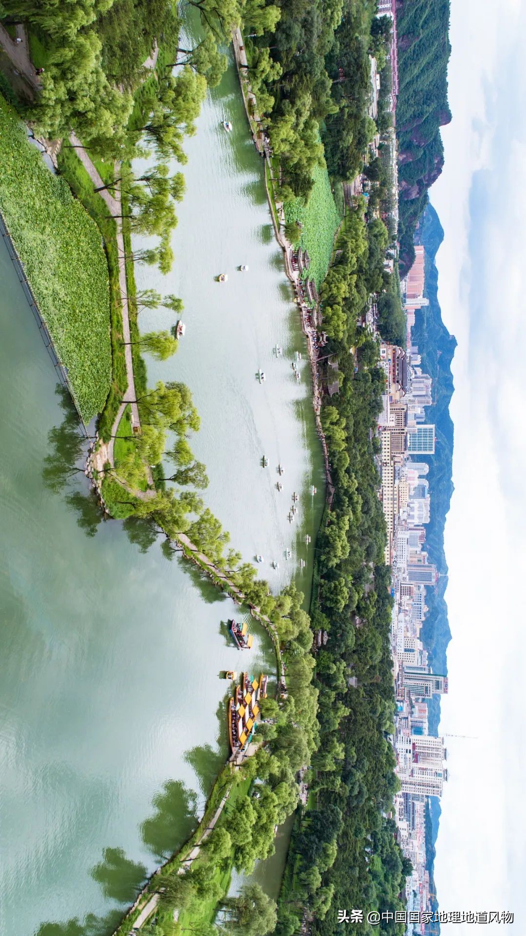 什么是西湖成语,什么是西湖莼菜