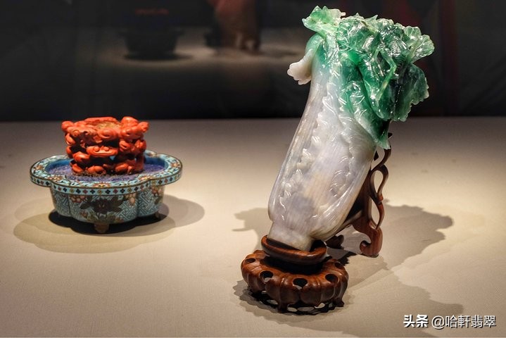 乾隆和白菜,乾隆白菜和太后白菜区别