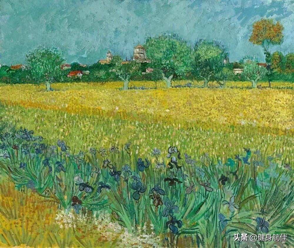 健身知识第二集,健身知识学习合集